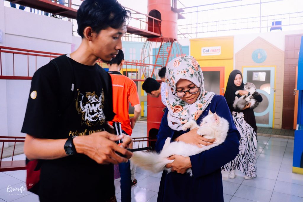 Cat City (Rumah Kucing di dalam Noah Bahtera)